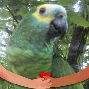 Meet your Posher, Tom